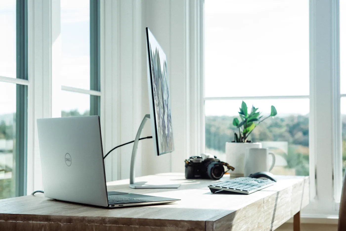 Calm minimal workspace with a wooden desk, plant and natural light